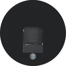 11702045 Zentralstück mit Staubschutzschieber Beschriftungsfeld,  Berker R.1/R.3/R.8, schwarz glänzend