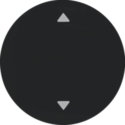 16202005 Wippe mit Aufdruck Symbol Pfeile Berker R.1/R.3/R.8, schwarz glänzend