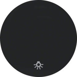 16202035 Bilanciere con stampa simbolo per luce Berker R.1/R.3/R.8, nero lucido
