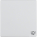 16206049 Bilanciere con stampa simbolo per luce Berker Q.1/Q.3/Q.7/Q.9, bianco polare velluto