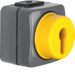 4386 Deviatore a 2 poli a parete per cilindri di chiusura Isopanzer IP44, grigio scuro/giallo